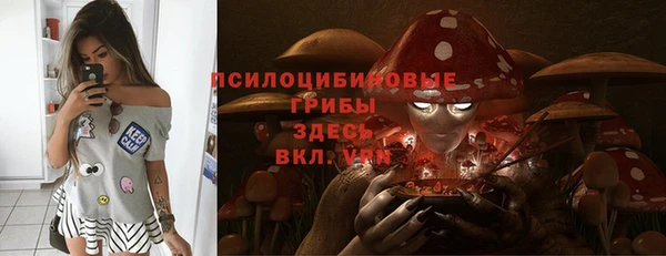 гидра Лиски
