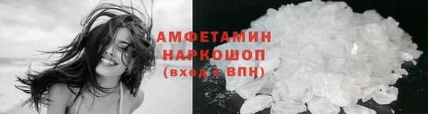 индика Гусиноозёрск
