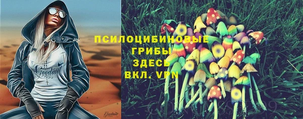 соль курить ск Липки