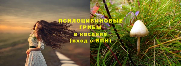 гидра Лиски