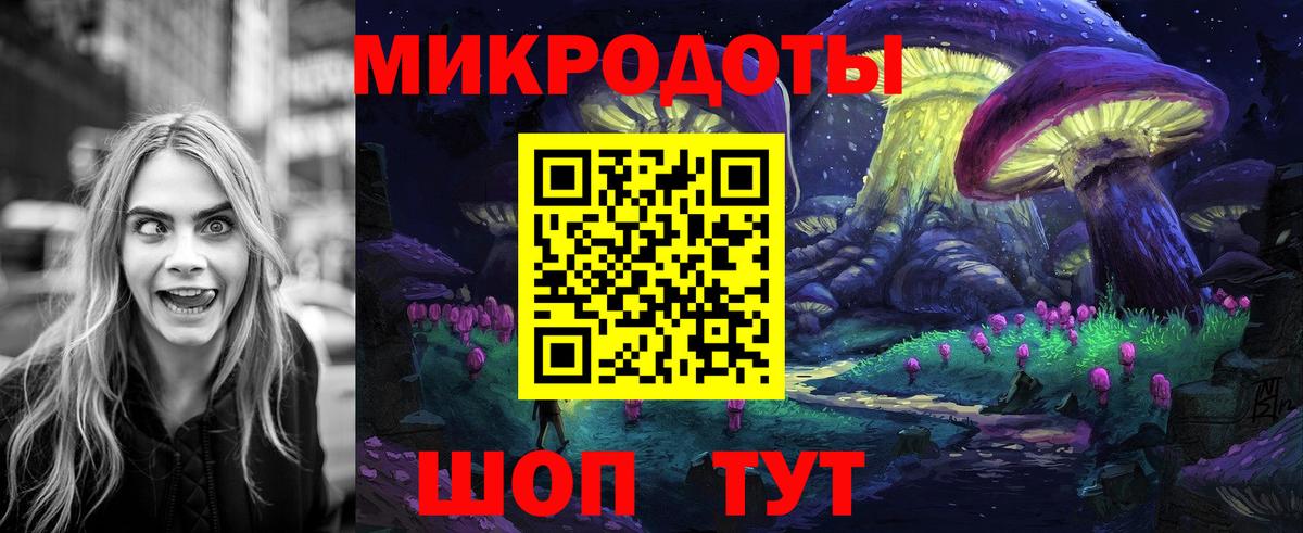 Псилоцибиновые грибы мицелий Дедовск