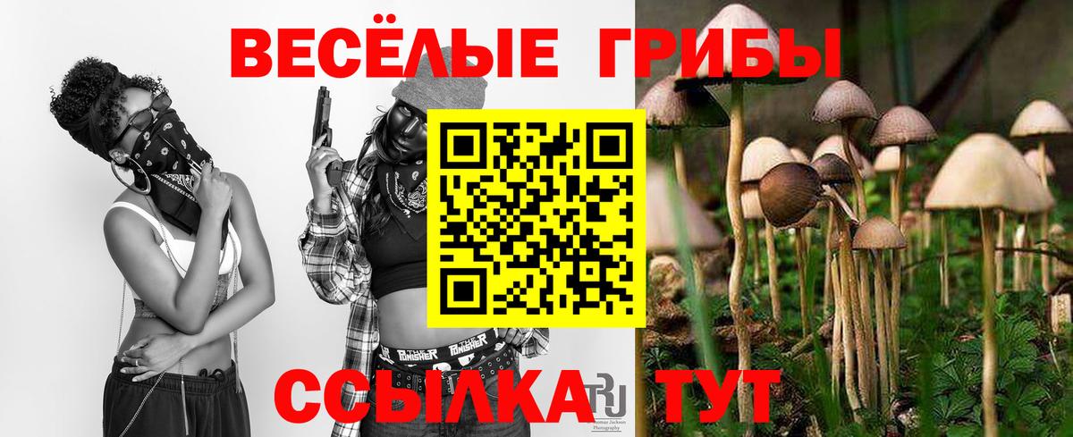 Псилоцибиновые грибы MAGIC MUSHROOMS Дедовск