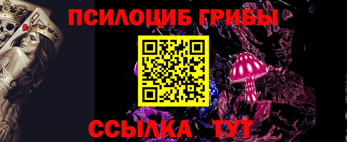 Псилоцибиновые грибы Magic Shrooms  Дедовск 